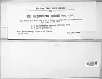 Image Associated With the Occurence